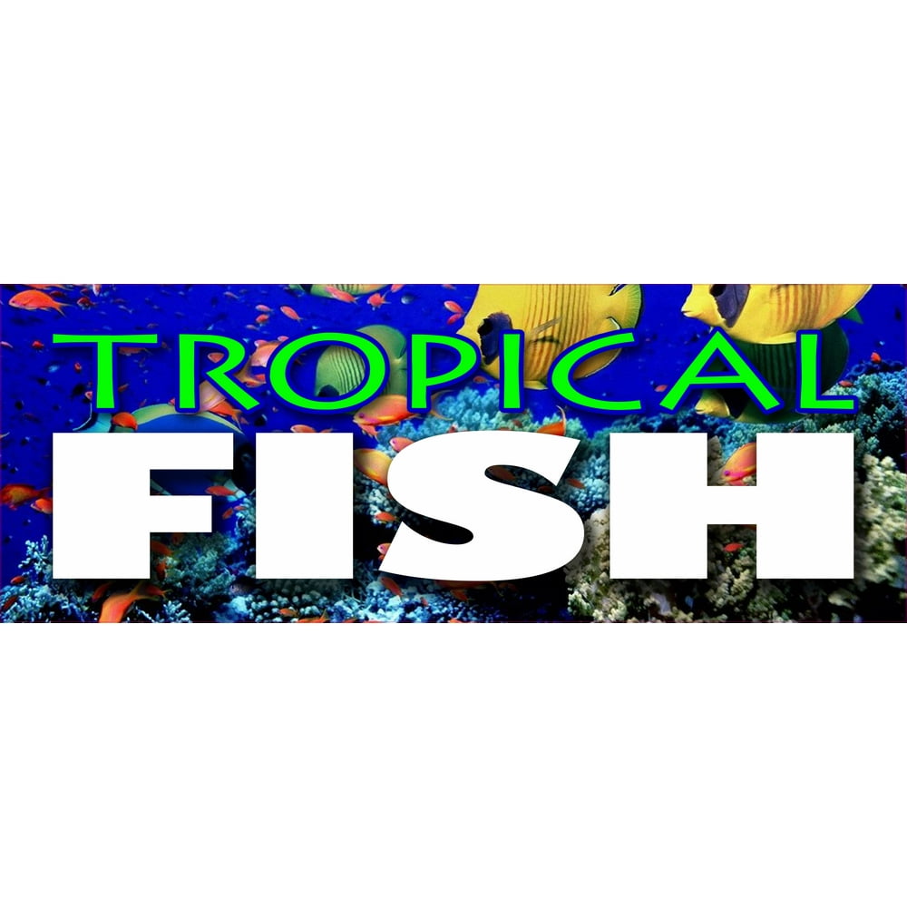 12" TROPICAL FISH DECAL sticker saltwater fishes colorful bright