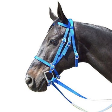 Intrepid International Web Horse Driving Lines - 30 Foot Cotton & Nylon Lines With Trigger Snaps