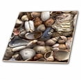 thumbnail image 2 of 3dRose, Sea Shells, 8 Inch Ceramic Tile, 2 of 2