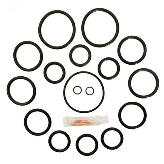 Alakit APCK1021 Sta-Rite & Purex Side Valve Repair Kit