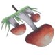 thumbnail image 3 of Beautifully Designed Mushroom Lawn Sign Ideal For Garden Decorations Featuring Printing 25X19CM 1 Piece, 3 of 5