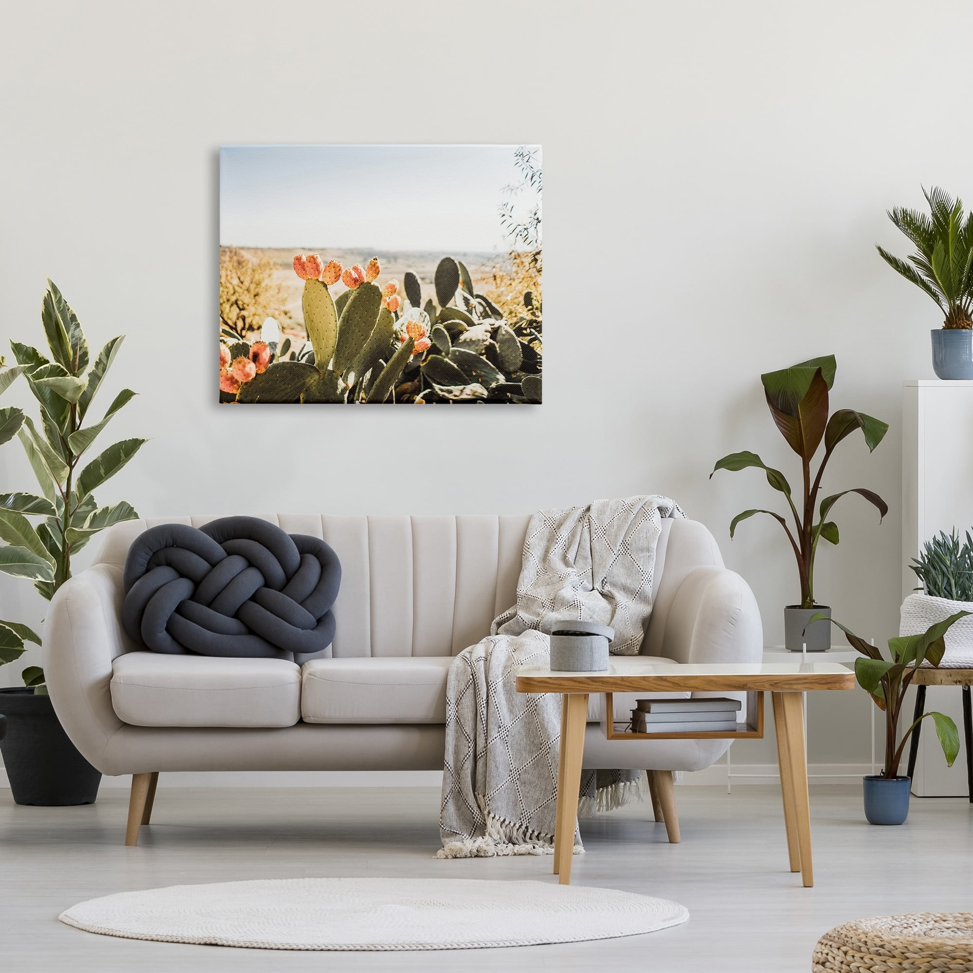 Stupell Sunlit Prickly Pear Cactus Photography Landscape Photography Gallery Wrapped Canvas Print Wall Art