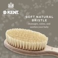thumbnail image 3 of Kent BA29 Cradle Cap Baby Hair Brush with Soft Natural Bristles and Travel Pouch - Baby Essentials for Newborn Hair Brush Made in England, 3 of 5
