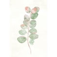 thumbnail image 3 of Woods, Maya 13x18 Black Modern Framed Museum Art Print Titled - Florida Leaves II, 3 of 5