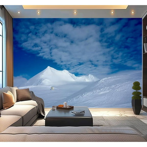 Peel and Stick Wallpaper Arctic spring south Spitsbergen Modern Art Wall Mural Decor Self Adhesive and Removable 100in x 144in