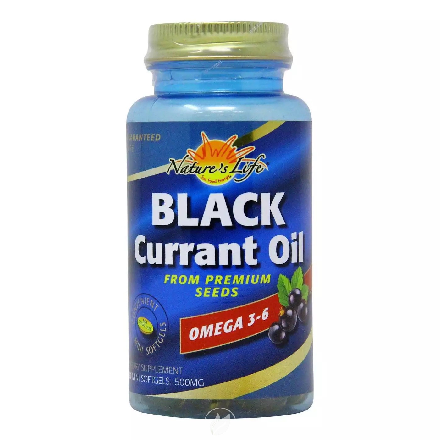 Nature's Life Black Currant Oil 500mg 90 Capsules, Pack of 2