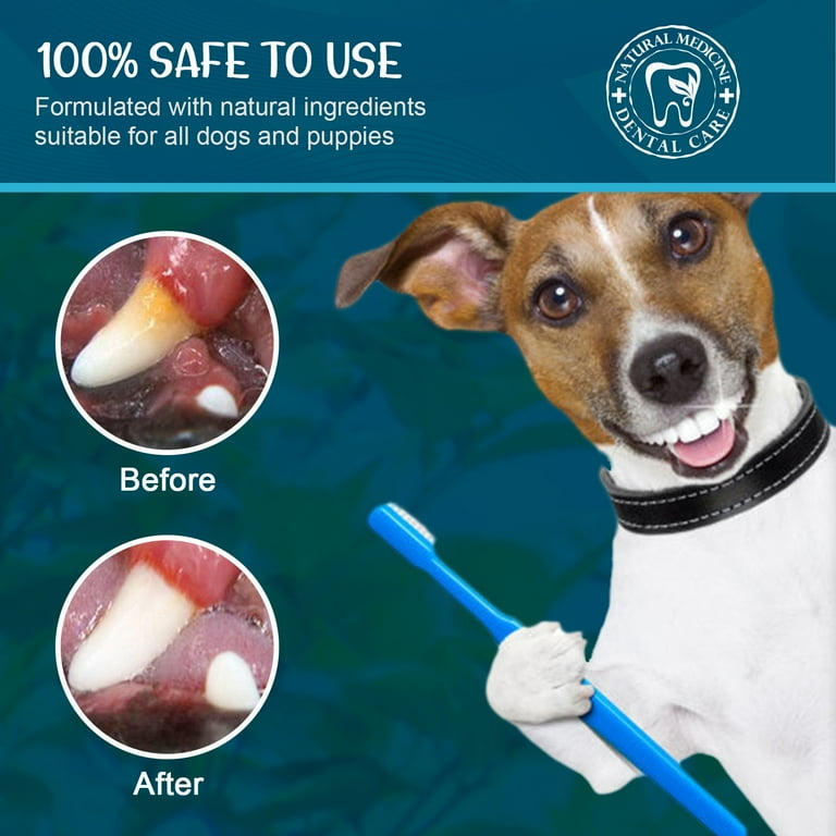 Shldybc Dog Toothpaste Mint For Dogs and Puppies Fresh Breath For