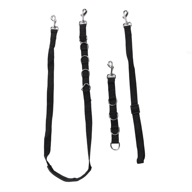 Collier de Contention pour Animaux de Compagnie, Sangle de Toilettage Réglable Laisse de Traction Réglable pour Chiens Coupe de Poils de Chat