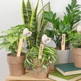 thumbnail image 4 of 50Pcs Wooden Plant Labels Plant Tags 6 Inch Garden Plants Markers Waterproof Seed Labels Markers Sticks Outdoor Garden Label Stakes Sign Wooden Plants Name Tags for Seedling Vegetables Flower, 4 of 8
