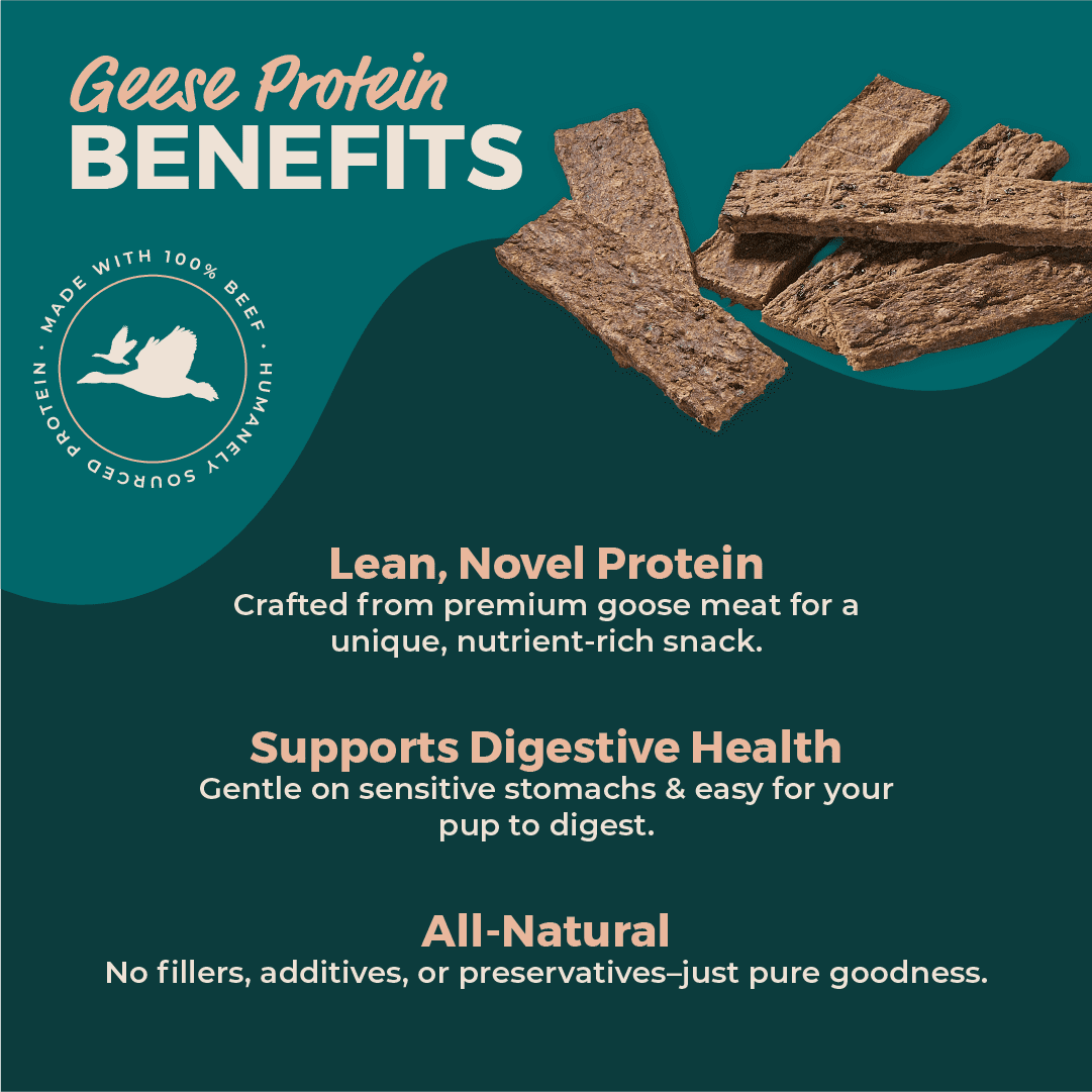 Natural Goose (Geese) Meat Strips Dog Treats - 25 Pack