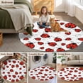 thumbnail image 6 of 3ft Washable Round Rug, Red Ladybugs Non-Slip Circle Area Rug for Bedroom Bedside, Country Cute Ladybug Red Black Animals Geometric Lines Soft Indoor Floor Mat for Home Decor, 6 of 9