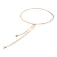 thumbnail image 1 of SIfdSeng Minimalist Chain Waist Belt Punk Hop Style Adjustable Metal Chain Jewelry, 1 of 4