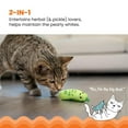 thumbnail image 4 of Catstages Crunchy Pickle Botteur Dentaire Herbe à Chat Jouet, 4 of 6