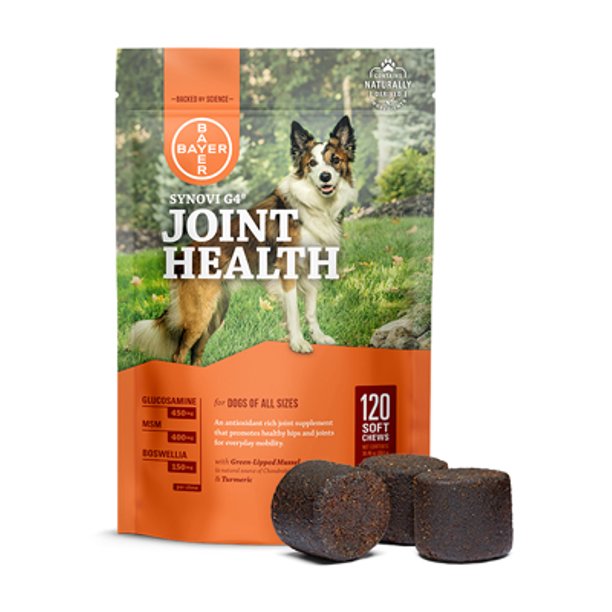 Pin On Dog Supplies