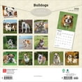 thumbnail image 2 of Bulldogs | 2026 12x24" (Hanging) Square Wall Calendar | Plastic-Free | BrownTrout, 2 of 9