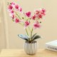 thumbnail image 4 of Película de impresión 3D de doble horquilla, bonsái phalaenopsis, decoración del hogar, simulación de plantas en macetas, 4 of 5