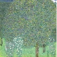 thumbnail image 2 of Klimt, Gustav 15x15 Black Ornate Wood Framed with Double Matting Museum Art Print Titled - Rosebushes under the Trees, 2 of 4