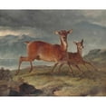 thumbnail image 3 of John Frederick Herring Snr. 17x15 Black Modern Framed Museum Art Print Titled - Red Hind and Calf (1855), 3 of 5