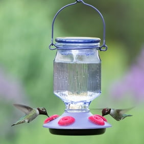Perky Pet Diamond Wine Top Fill Glass Hummingbird Feeder Walmart Com
