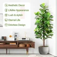 thumbnail image 5 of ShadeMart 71" Faux Fiddle Leaf Fig Tree - Realistic Texture, Indoor/Outdoor Decor for Home & Office, 5 of 5