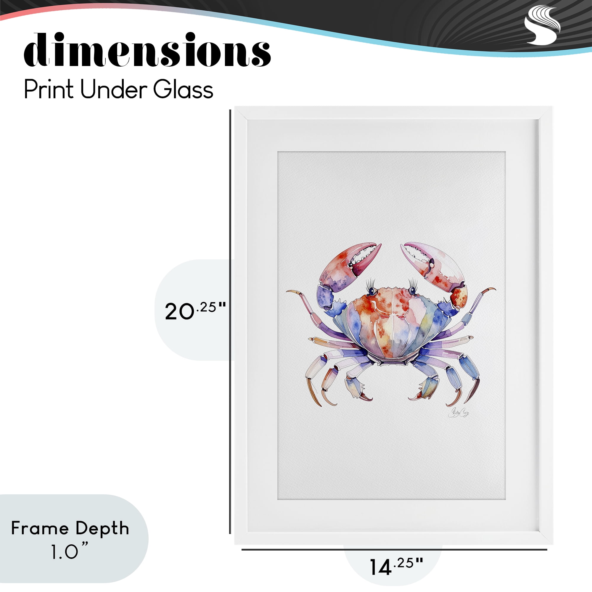 Stupell Industries Tide Dancer Crab White Framed Print Under Glass, design by Shelly Craig
