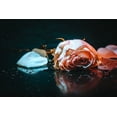 thumbnail image 2 of Alsharif, Yahia 14x11 Black Ornate Wood Framed with Double Matting Museum Art Print Titled - Sad Rose, 2 of 4