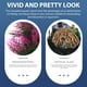 thumbnail image 4 of Adorno creativo de plantas artificiales para acuarios y peceras., 4 of 6