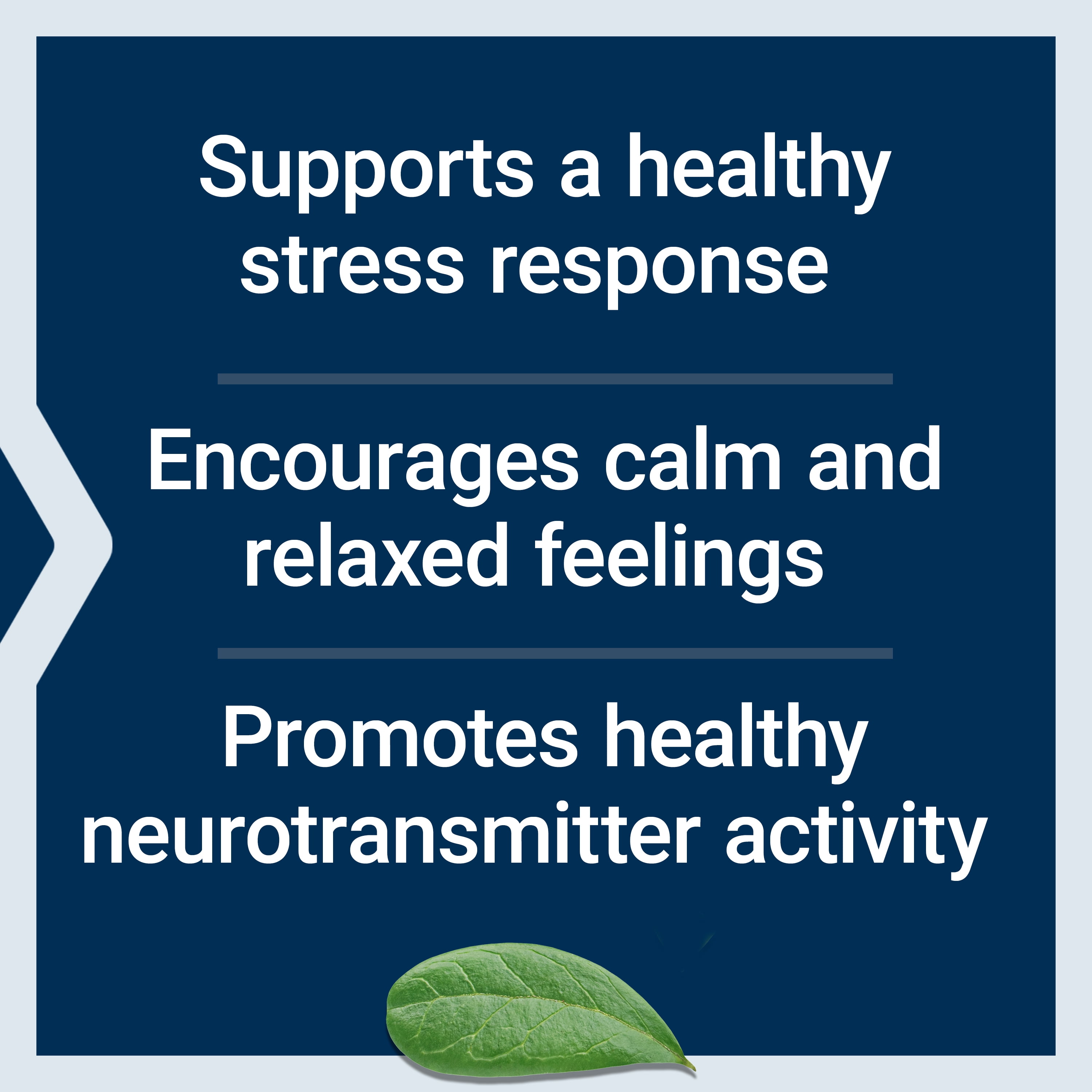 Life Extension Calm-Mag - Bioavailable Form of Magnesium Acetyl Taurinate Supplement for Relaxation and Stress Management - Gluten Free, Non-GMO, Vegetarian - 30 Capsules