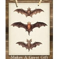 thumbnail image 4 of Vintage Bat Painting - 11x14 Unframed Art Print - Great Biology Lab Decor or Gift for People Who are Fascinated with Bats, 4 of 6