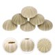 thumbnail image 1 of Green Sea Urchin Fish Tank Decors Shell Design Flowerpot DIY Air Natural Planting Holder Home Decoration Mediterranean Hedgehog, 1 of 5