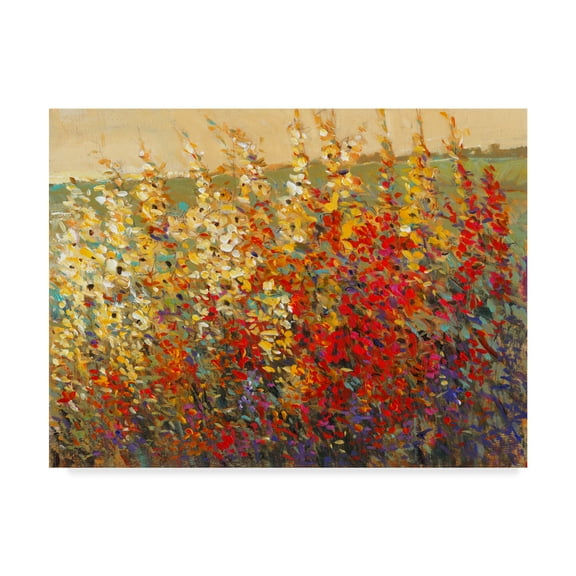 Trademark Fine Art 'Field of Spring Flowers I' Canvas Art by Tim OToole