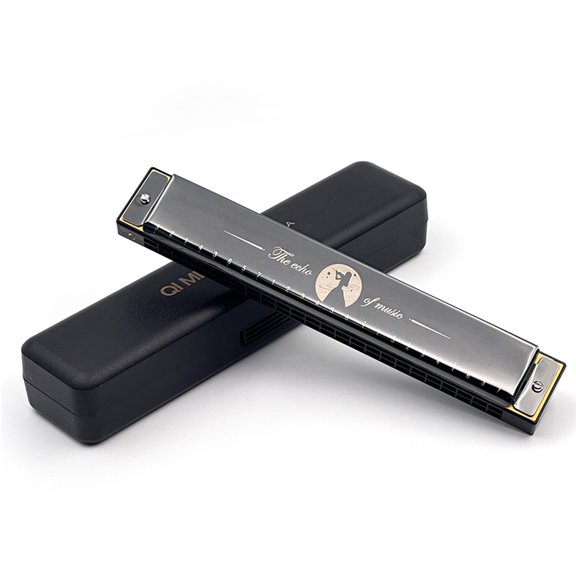 BLEEUS 24 Holes Portable Harmonica C Key Standard Harmonica Party Favors (Black) Musical Instruments Supplies (Black)