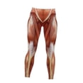 thumbnail image 1 of High Waisted Butt Lifting Leggings Muscle Print Yoga Pants for Women S-XXL, 1 of 5