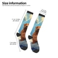 thumbnail image 2 of Fuzoiu Sunshine Cloud Bulldog Print Adult Stockings,Crew Socks,Unisex Fashion Socks, Casual Sports Socks,Comfortable Crew Socks for Everyday Wear and Sports, 2 of 6