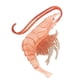 thumbnail image 5 of Juguetes de simulación de Naturaleza Camarones rojos 9.5x9x1.7cm Hugo Niños Ciencia Naturaleza, 5 of 10
