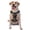 With Accessories, variant on Vsdgher Forest Meditating Gorilla Pattern Dog Harness,No Pull Pet Harness with Soft Padded Handle,Adjustable Reflective Vest with 2 Buckles,4 Slide Buckles,S-XL X-Large