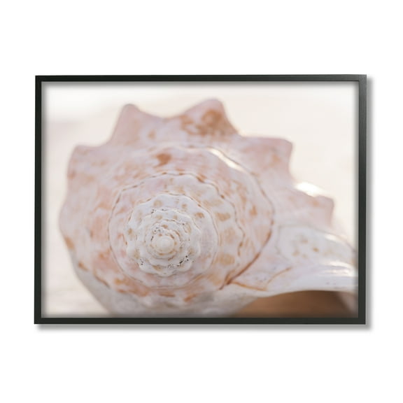 Stupell Beach Life Conch Shell Photography Landscape Photography Black Framed Art Print Wall Art