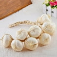 thumbnail image 2 of KDJ Artificial String Garlic Faux Onion Fake Food House Kitchen Party Office Decor - for Home Decor, 2 of 7