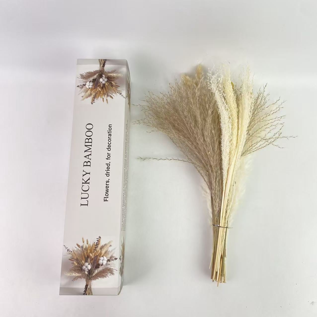 LUCKY BAMBOO Flowers, dried, for decoration, dried, for decoration,Natural Dried Flower Bouquet - Pampas Grass, Cotton Stems, Bunny Tails, Eucalyptus, Lavender & Wheat