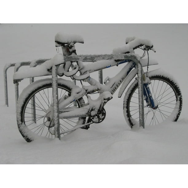 winter bike frame