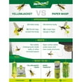 thumbnail image 6 of RESCUE! Yellow Jacket Disposable Trap, 1 Unit, West of Rockies Mix, 6 of 18