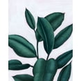 thumbnail image 2 of Popp, Grace 12x14 Gold Ornate Wood Framed with Double Matting Museum Art Print Titled - Verdant Ficus I, 2 of 4