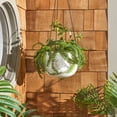 thumbnail image 2 of Safavieh Rancer Concrete Ficonstone Modern Solid Round White Plant Pot, 2 of 7
