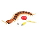 thumbnail image 1 of 1PC Control remoto por infrarrojos ciempiés falso Scolopendra RC juguete, 1 of 14