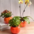 thumbnail image 4 of EIMELI Flower Pot Dual Layer Shatterproof Plastic Decorative Plant Flower Pot with Water Container for Home Red 1 Set, 4 of 13