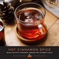 Harney and Sons Hot Cinnamon Spice Single Serve Tea Pods, 24 Pack