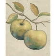 thumbnail image 3 of Brissonnet, Daphne 15x18 Black Modern Framed Museum Art Print Titled - Lovely Fruits II Neutral Plain, 3 of 5