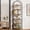 6 Tier Brown, variant on Walsunny 5-Tier Arched Bookshelf Industrial Open Storage Shelf, Display Bookshelves with Metal Frame, Rustic Wood Tall Bookcase for Living Room, Home Office, Gold