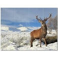 thumbnail image 1 of Deer Ceramic Tile Mural Kitchen Backsplash Bathroom Shower 402748-S43, 1 of 3