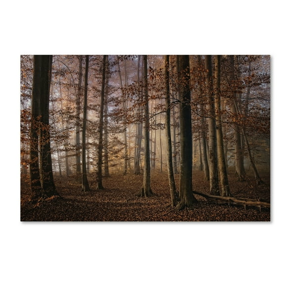 Trademark Fine Art 'Autumn' Canvas Art by Norbert Maier